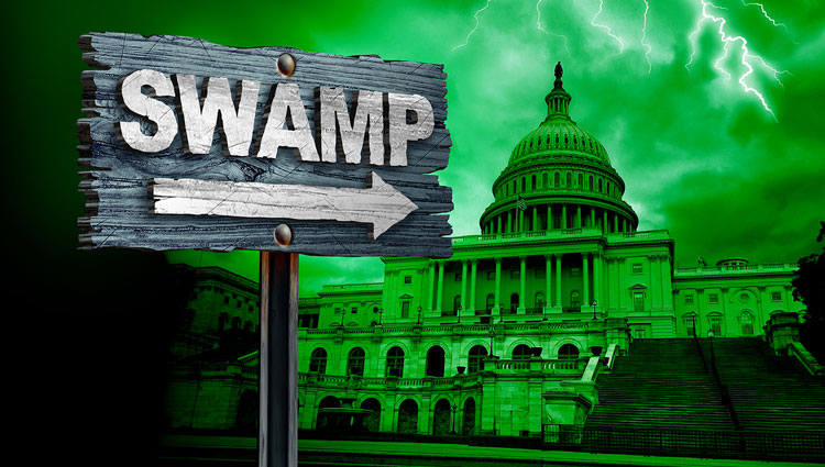 Washington Capital Swamp