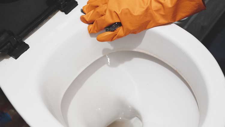 Image depicting low wage earner cleaning toilet